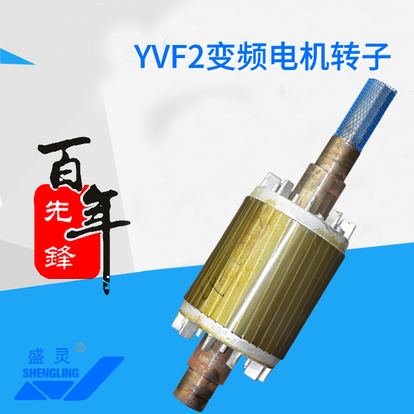 YVF2变频电机转子_YVF2变频电机转子生产厂家_YVF2变频电机转子直销_维修-先锋电机
