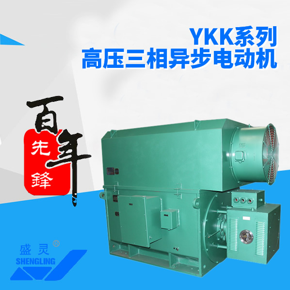 YKK系列高压三相异步电动机_YKK系列高压三相异步电动机生产厂家_YKK系列高压三相异步电动机直销_维修-先锋电机